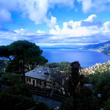 Casaviva - Bilo With Seaview And Parking In Camogli Leilighet Eksteriør bilde