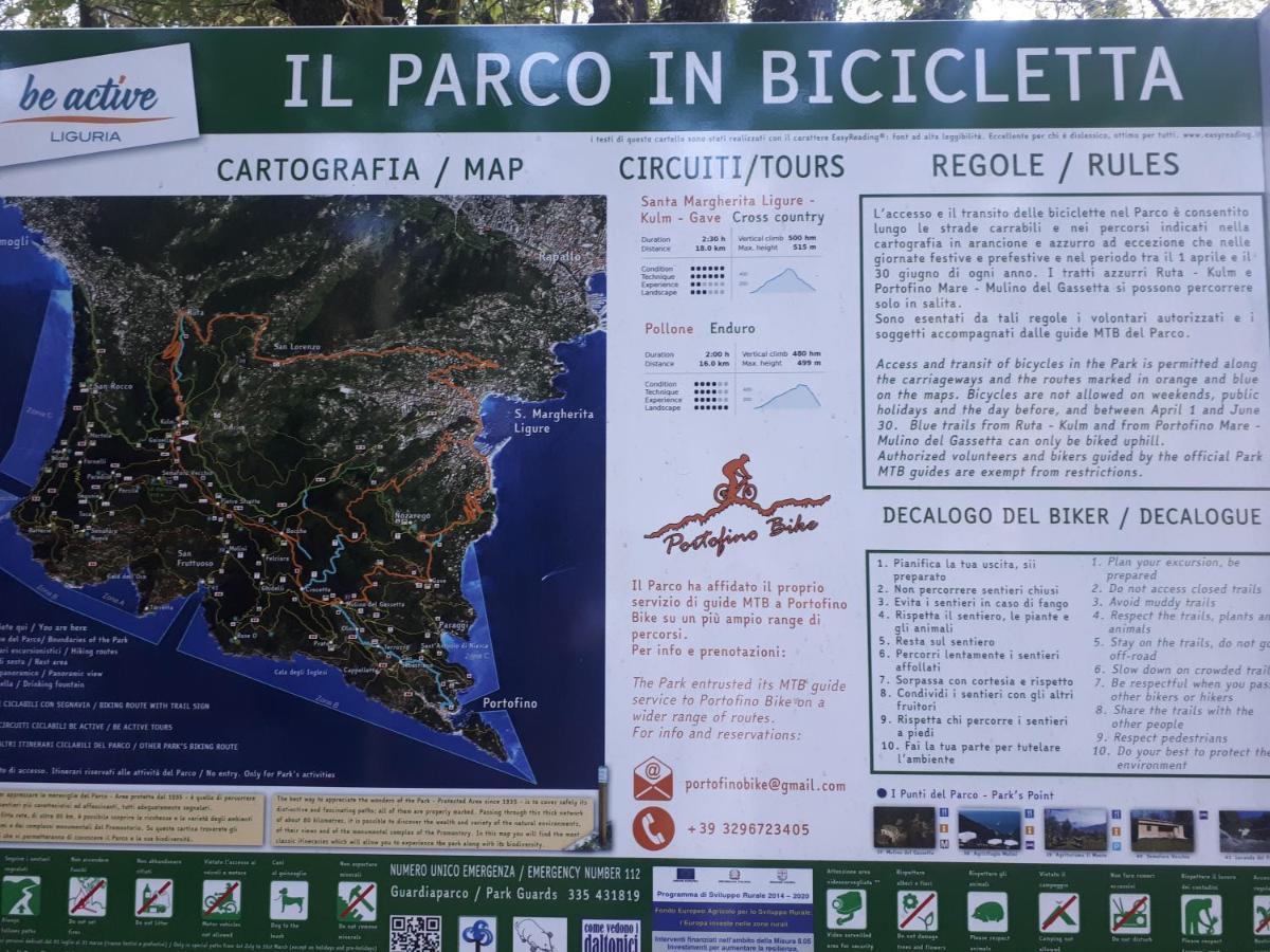 Casaviva - Bilo With Seaview And Parking In Camogli Leilighet Eksteriør bilde